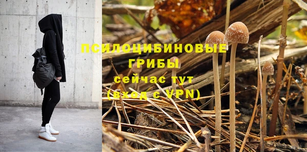 таблы Ельня