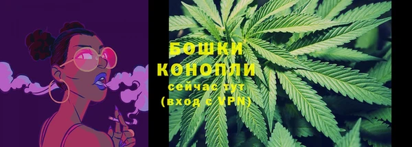 MESCALINE Елизово