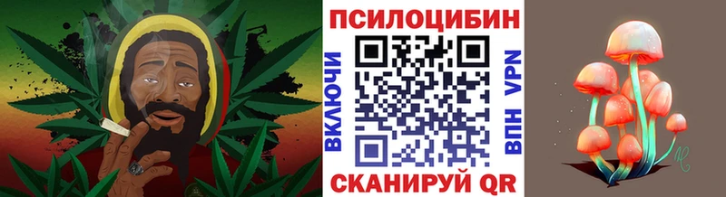 Галлюциногенные грибы мицелий  Инта 