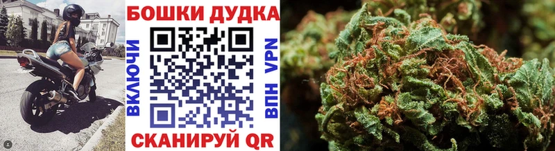 Шишки марихуана OG Kush  Инта 